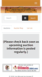 Mobile Screenshot of jonwitvoetauctioneer.com